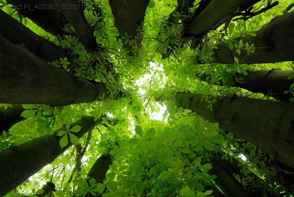 「家中擺設小改造，提升運勢的7個設計風格秘訣！」